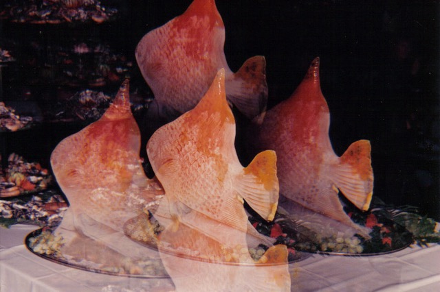 36 Food Sculpture.jpg